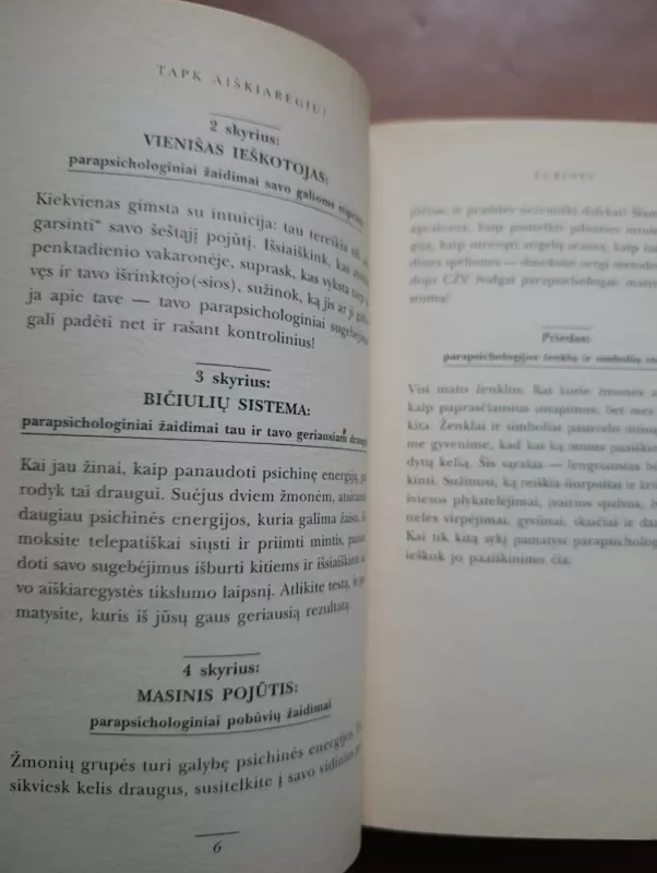 Tapk aiškiaregiu - Stacey Wolf, knyga 6