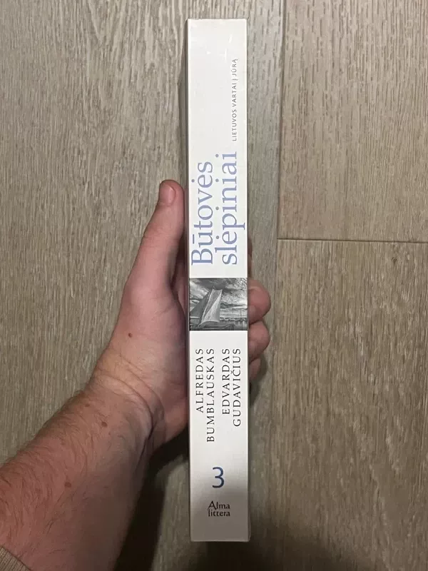 Būtovės slėpiniai. Lietuvos vartai į jūrą - Alfredas Bumblauskas, knyga 4