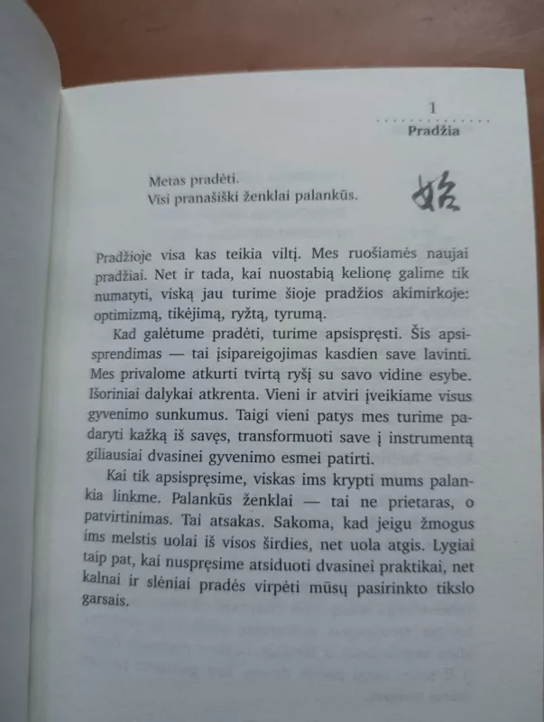 365 DAO Įžvalgos kasdienai - Deng Ming-Dao, knyga 4