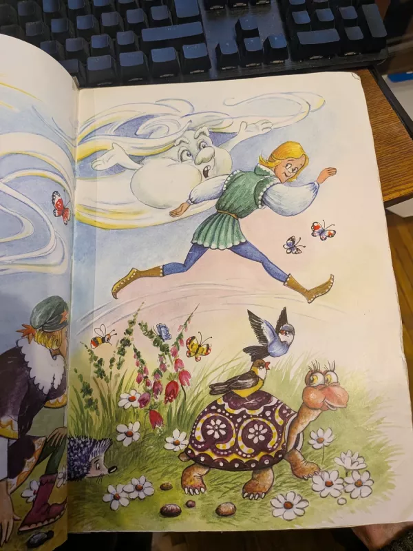 Pelytė ir lietutis - Zita Gaižauskaitė, knyga 4