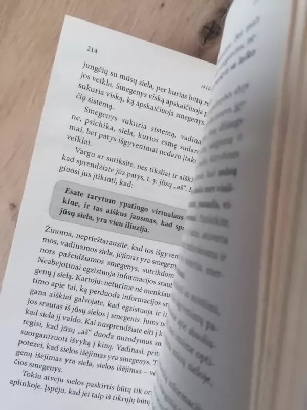 Burtas mestas - Miroslav Plzak, knyga 4