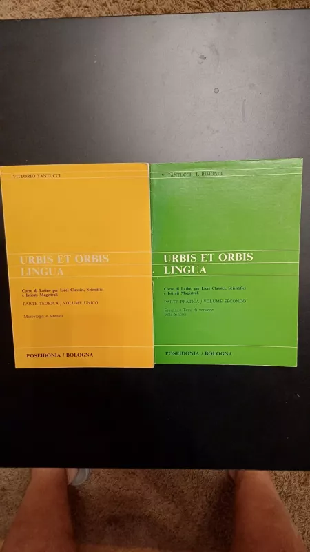 Urbis et orbis Lingua II dalis - Vittorio Tanlucci, knyga 5