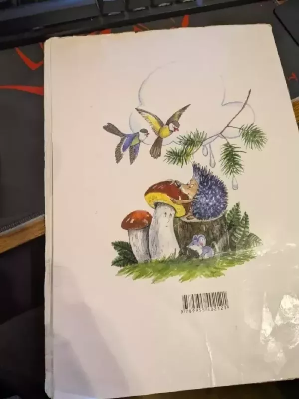 Pelytė ir lietutis - Zita Gaižauskaitė, knyga 5