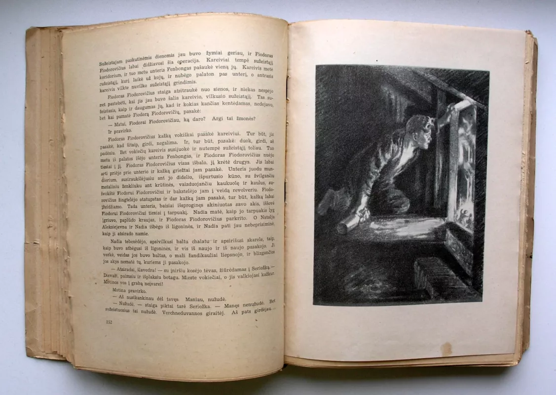 Jaunoji gvardija - A. Fadiejevas, knyga 4