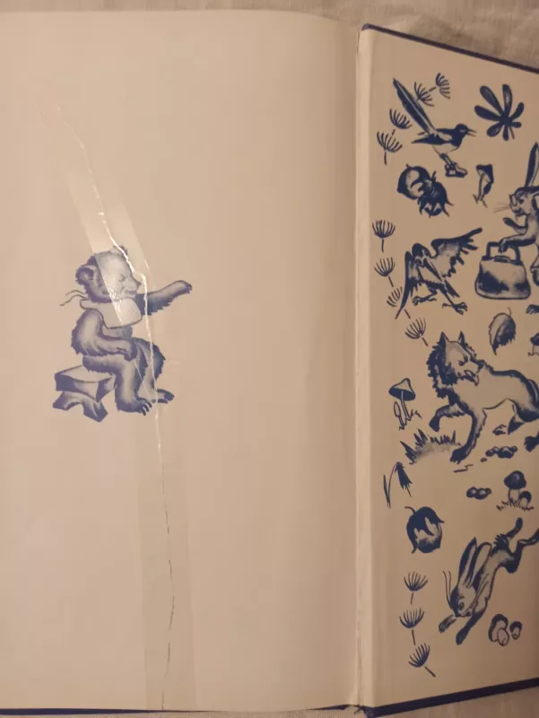 Meškiukas Rudnosiukas - Vytė Nemunėlis, knyga 4