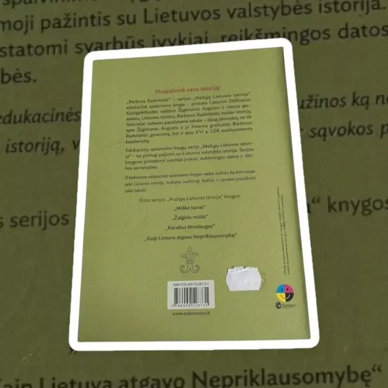 Barbora Radvilaitė. Spalvinimo knyga - Autorių Kolektyvas, knyga 3