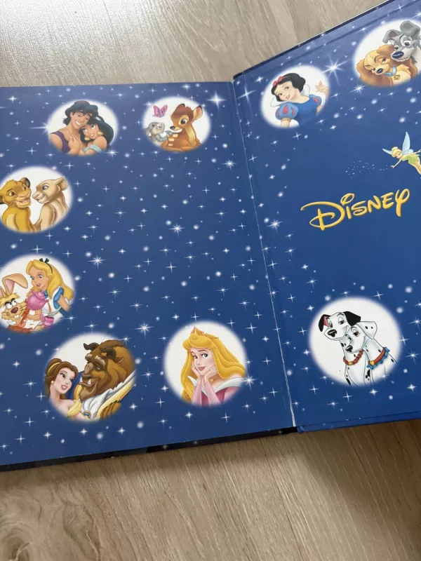 Undinėlė - Disney Enterprises Inc., knyga 3