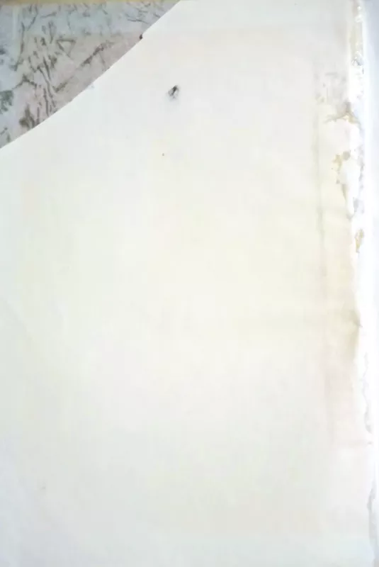 Romeo ir Džiuljeta - William Shakespeare Viljamas Šekspyras, knyga 5