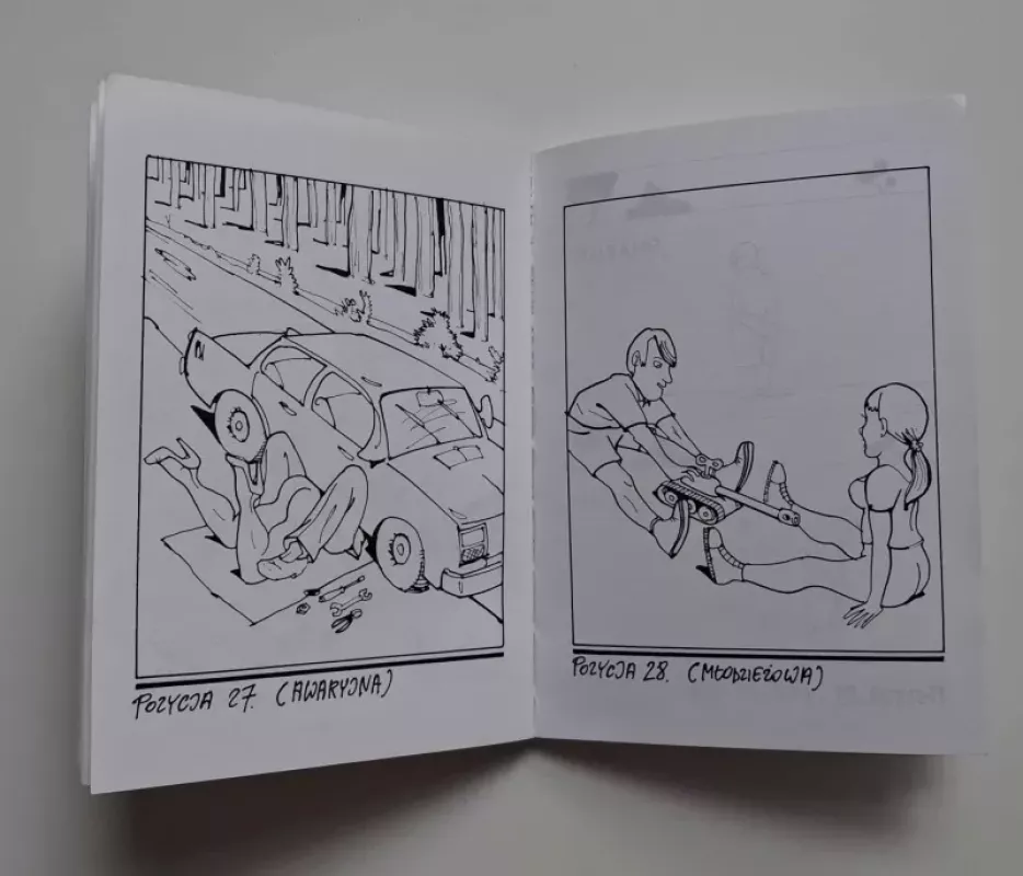 Kamasutra (100 POZYCJI DLA KAŻDEGO) - Andrzej Mleczko, knyga 3