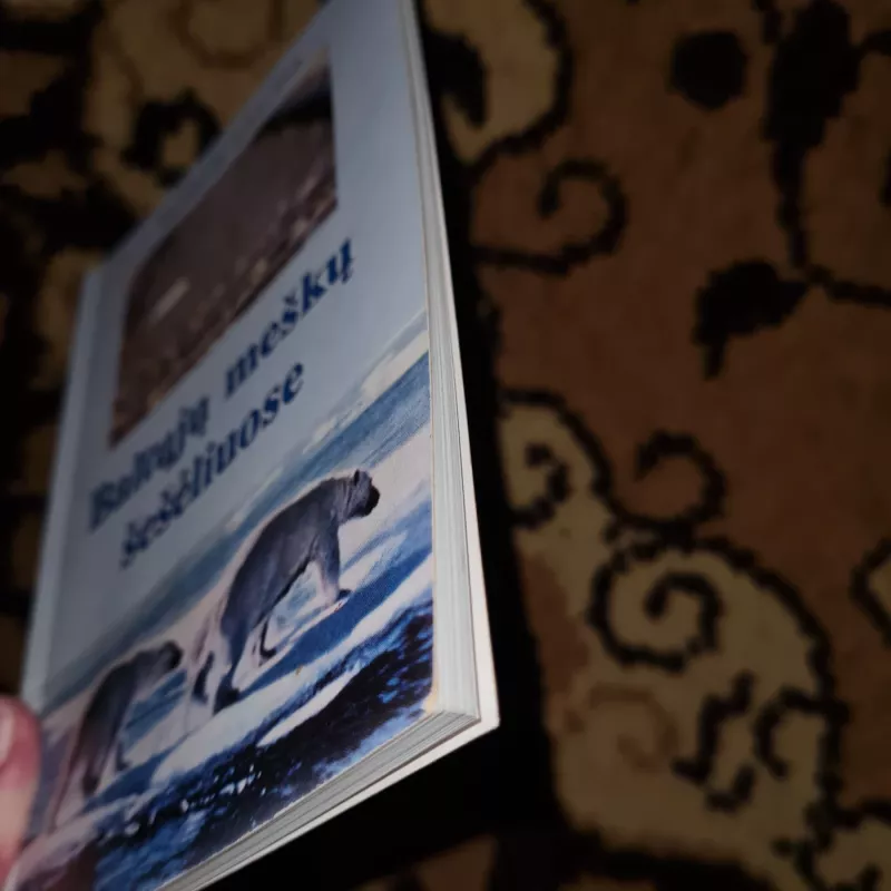 Baltųjų meškų šešėliuose - Mečislovas Liutkevičius, knyga 3