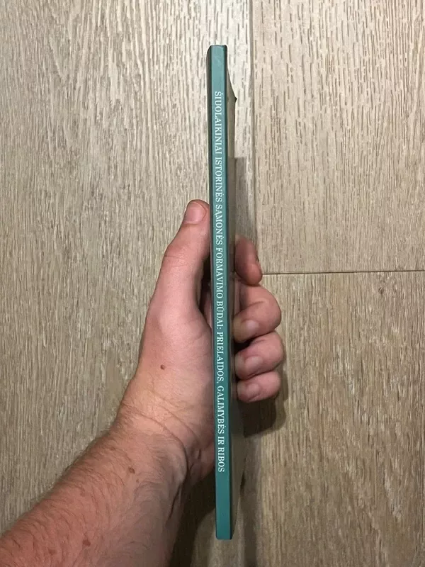 Šiuolaikiniai istorinės sąmonės formavimo būdai: prielaidos, galimybės ir  ribos - autorių kolektyvas, knyga 3