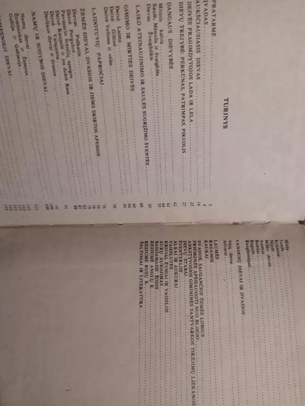 Senovės lietuvių mitologija ir religija - Pranė Dundulienė, knyga 3