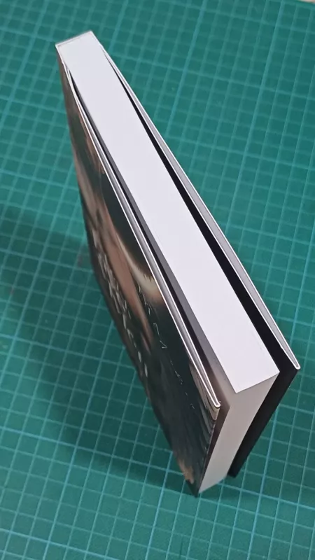 Leisk tave mylėti - Tyla Audroje, knyga 5