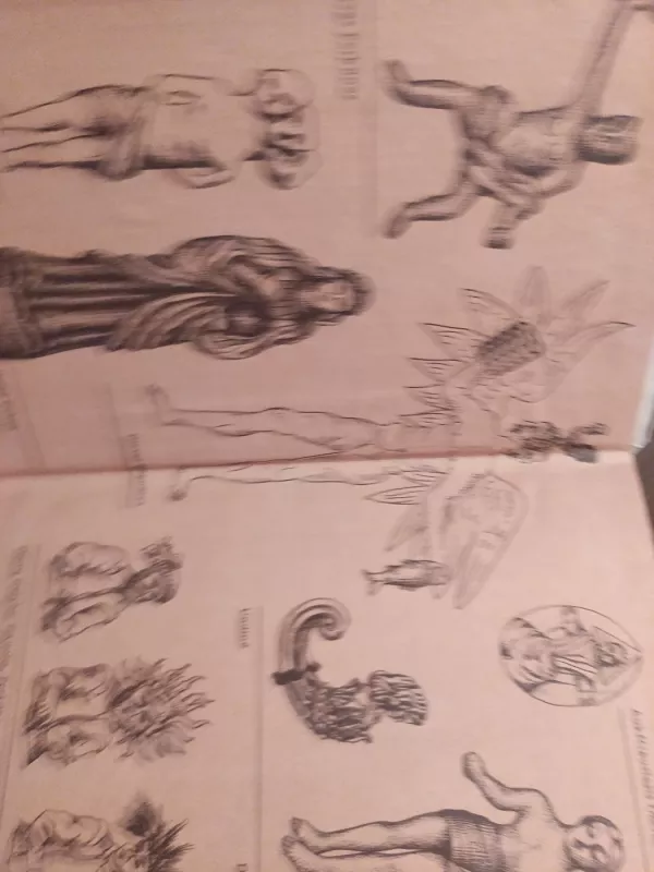 Senovės lietuvių mitologija ir religija - Pranė Dundulienė, knyga 4