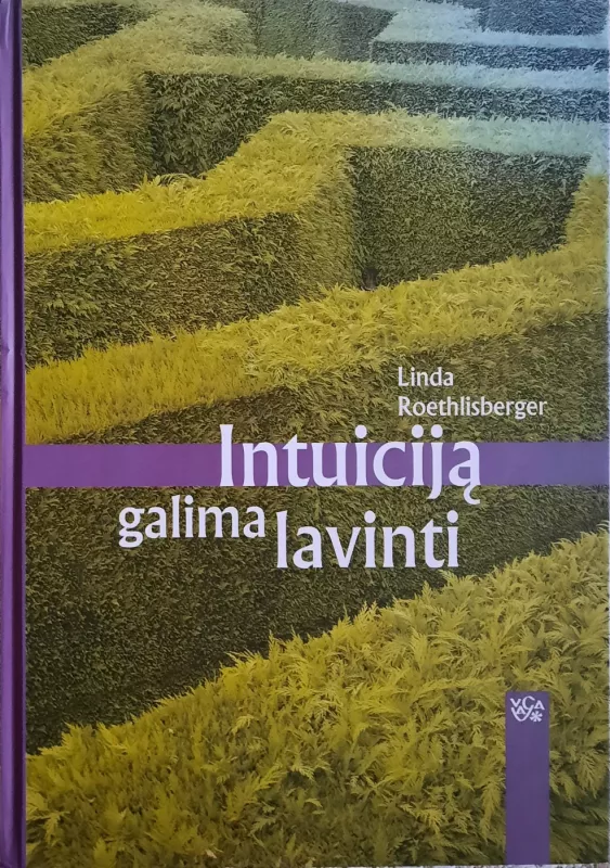 Intuiciją galima lavinti - Linda Roethlisberger, knyga 2