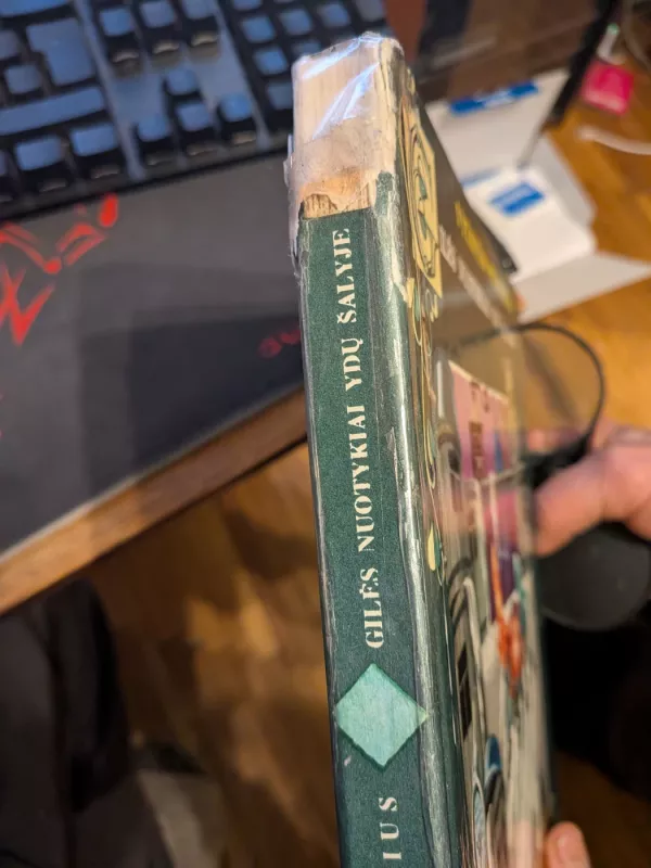 Gilės nuotykiai Ydų šalyje - Vytautas Petkevičius, knyga 3