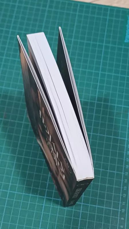 Leisk tave mylėti - Tyla Audroje, knyga 4