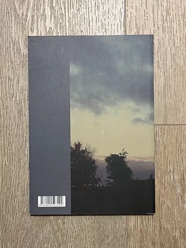 Istorinės atminties diskurso prielaidos ir prieštaravimai - Autorių Kolektyvas, knyga 3