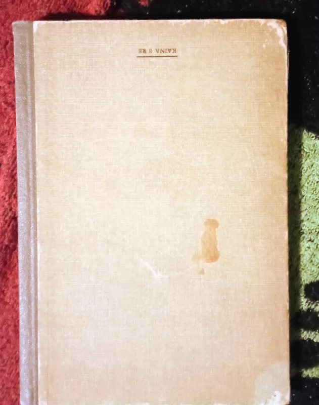 Romeo ir Džiuljeta - William Shakespeare Viljamas Šekspyras, knyga 6