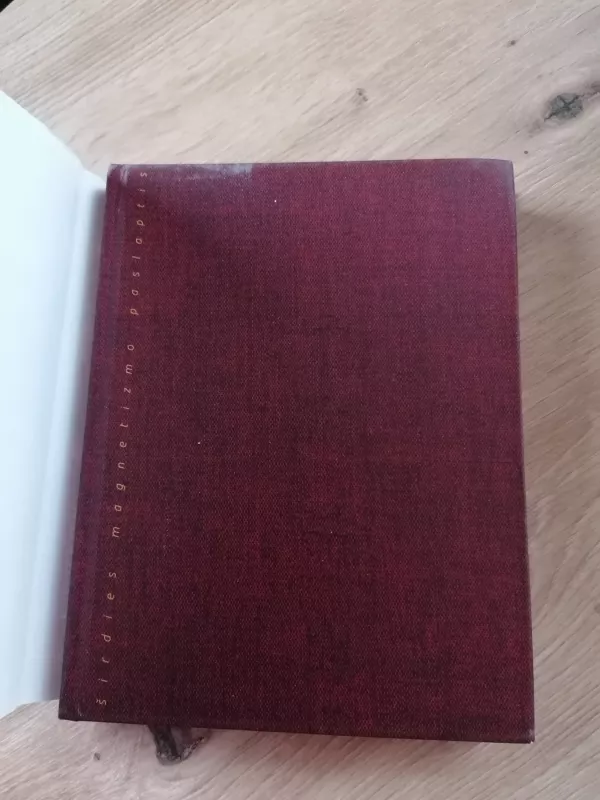 Širdies magnetizmo paslaptis - Reudiger Schache, knyga 3