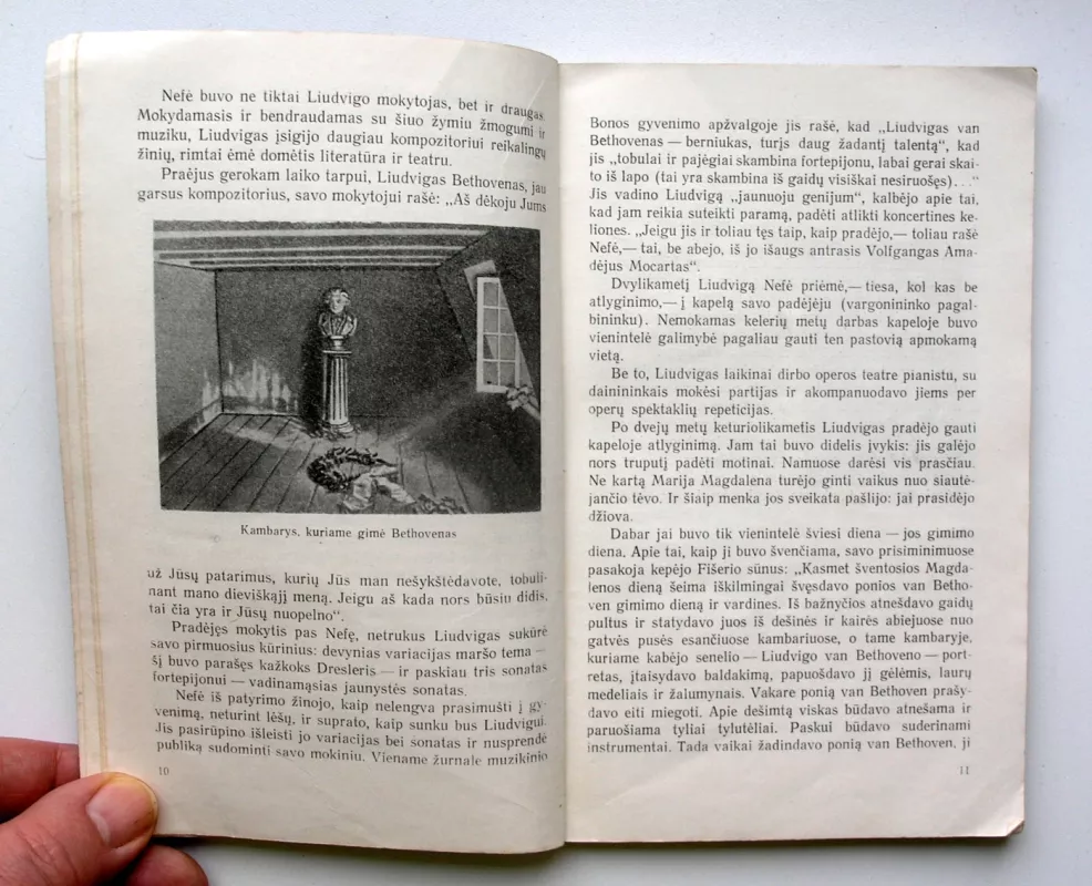 Liudvigas van Bethovenas - L. Keršner, knyga 4