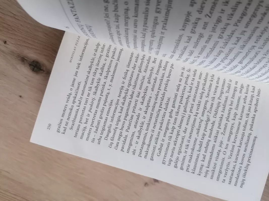 Burtas mestas - Miroslav Plzak, knyga 6