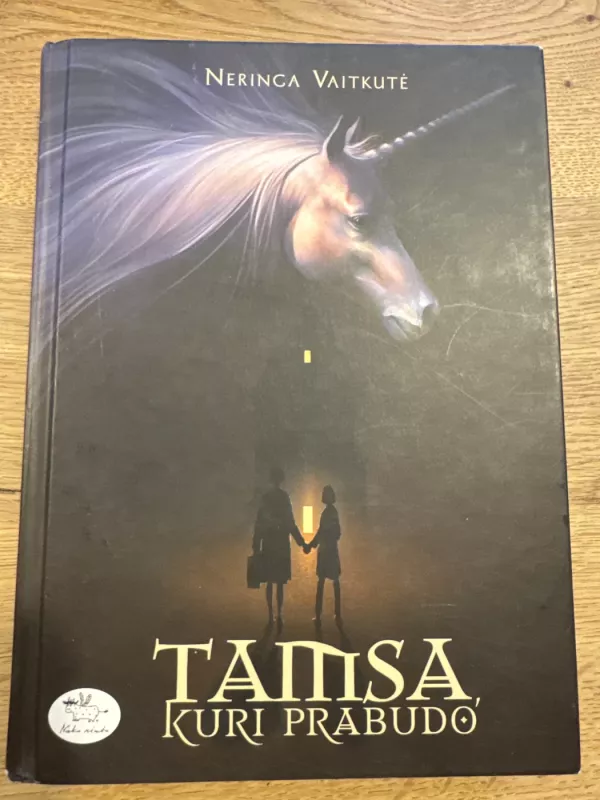 Tamsa, kuri prabudo - Neringa Vaitkutė, knyga 2