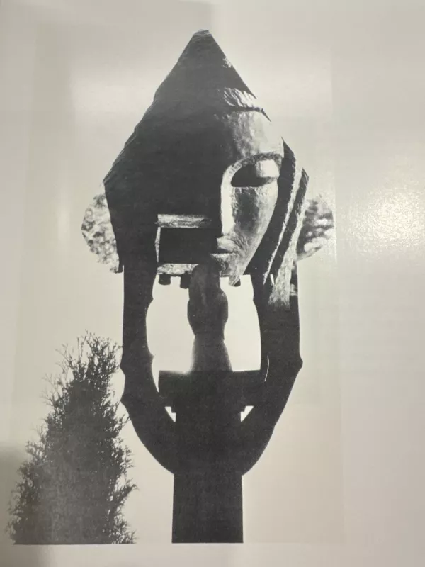 Kapinaitės: transcendencijos link - A. Kezys, knyga 6