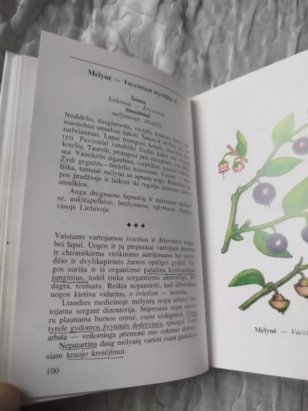 100 gamtos vaistų - Lina Pakutkienė, Valdas  Sasnauskas, knyga 4