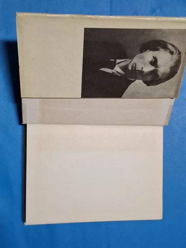 Iš tolių beribių - Petras Vaičiūnas, knyga 3