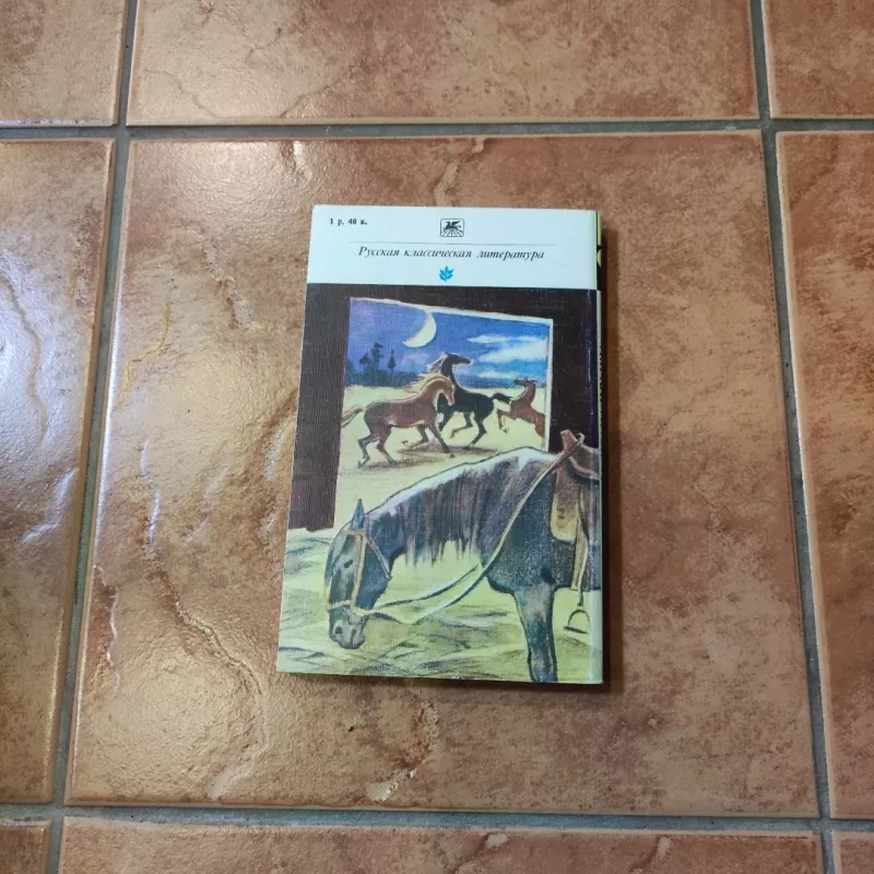 Smertj Ivana Iljicha - L. N. Tolstoj, knyga 3