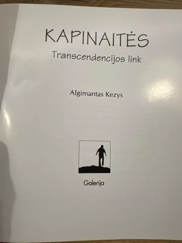 Kapinaitės: transcendencijos link - A. Kezys, knyga 4