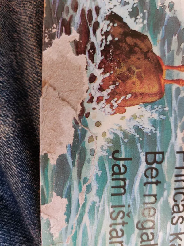 Undinėlė - Mykolas Karčiauskas, knyga 3