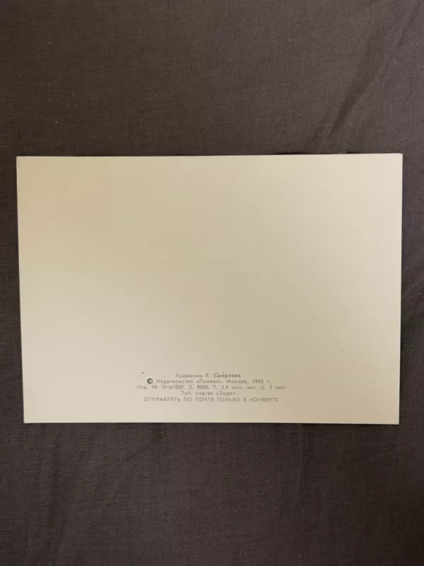 SSRS 1985 m. Kalėdinis atvirukas su Kalėdų Seniu - , namai ir interjeras 4