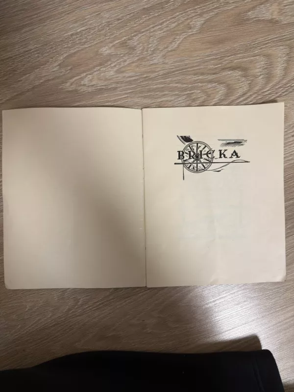 Knyga Brička Aišbė - A. Kriščiūnas, knyga 3