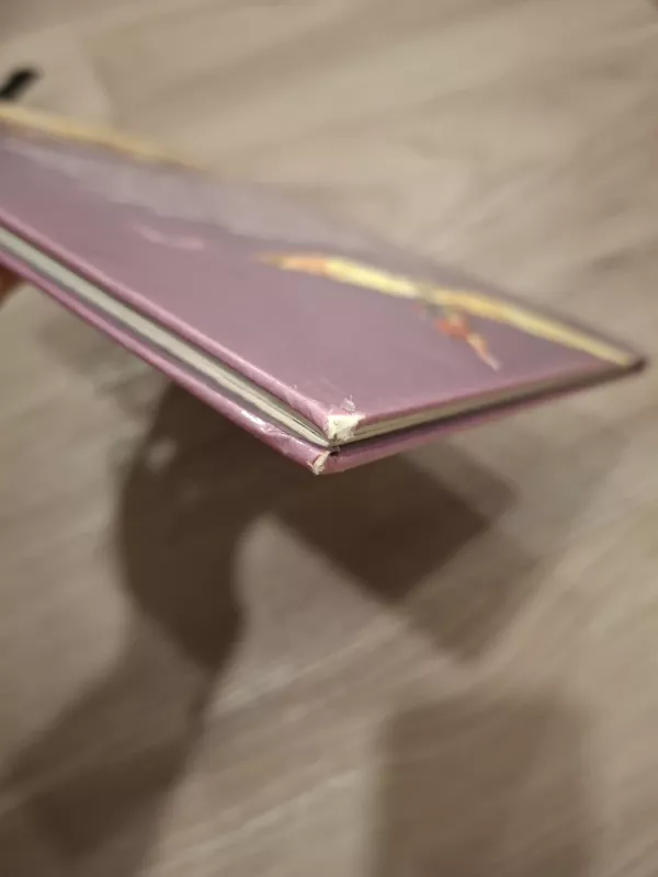 Miško pasakos. Didysis nuotykis 2 - Tony Wolf, knyga 6