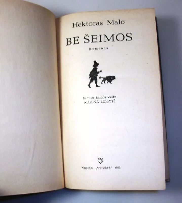 Be šeimos - Hektoras Malo, knyga 6