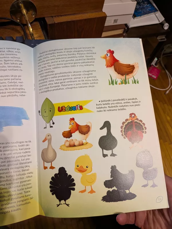 Eko takučiu ten, kur sveika ir skanu - Ingrida Meškinytė, knyga 4