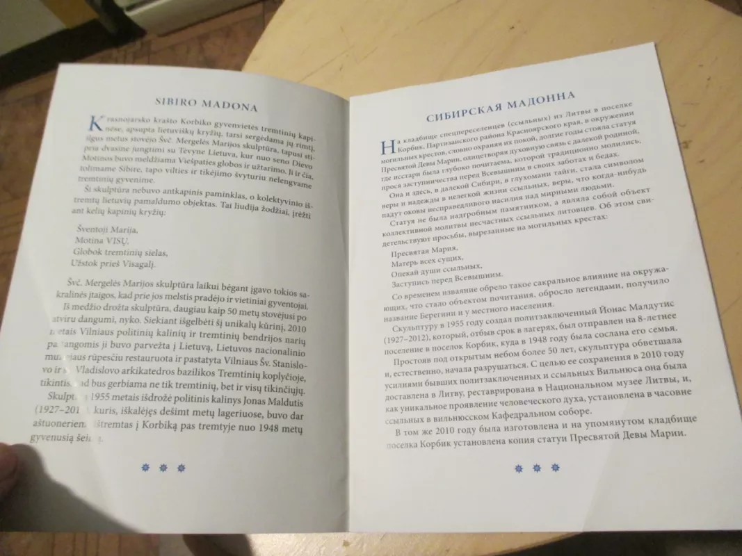 Sibiro Madona - Birutė Panumienė, knyga 6