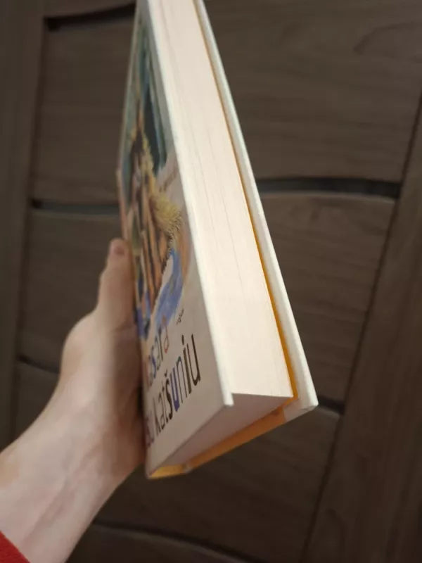 Vasara su Katšuniu - Morkūnas Gendrutis, knyga 3