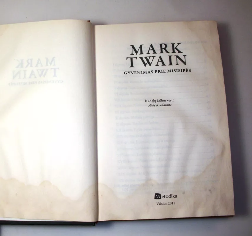 Gyvenimas prie Misisipės - Mark Twain, knyga 6