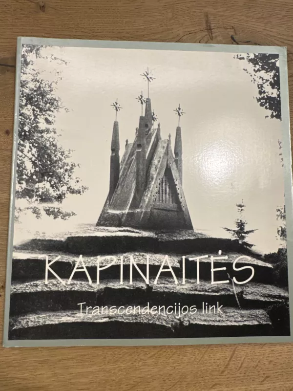 Kapinaitės: transcendencijos link - A. Kezys, knyga 2