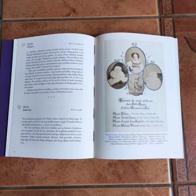 Gražiausi Liudviko ir Zelijos Martenų laiškai - Helene Mongin, knyga 5