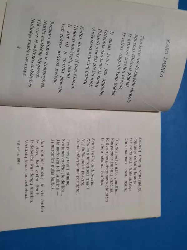 Iš tolių beribių - Petras Vaičiūnas, knyga 5