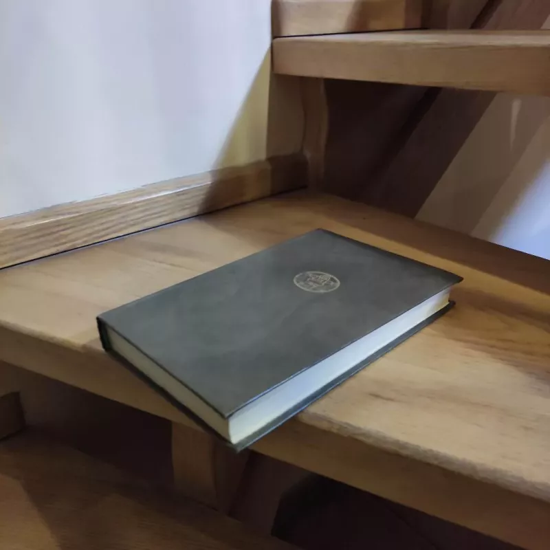 Moters portretas - Henris Džeimsas, knyga 6