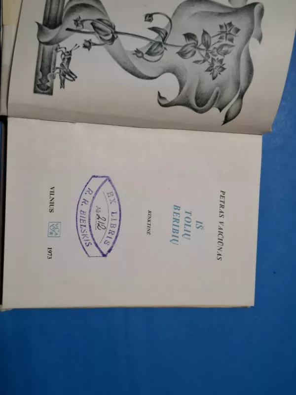 Iš tolių beribių - Petras Vaičiūnas, knyga 4