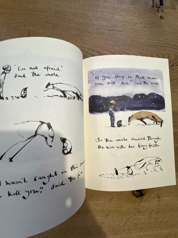 The Boy, the Mole, the Fox and the Horse - Charlie Mackesy, knyga 3