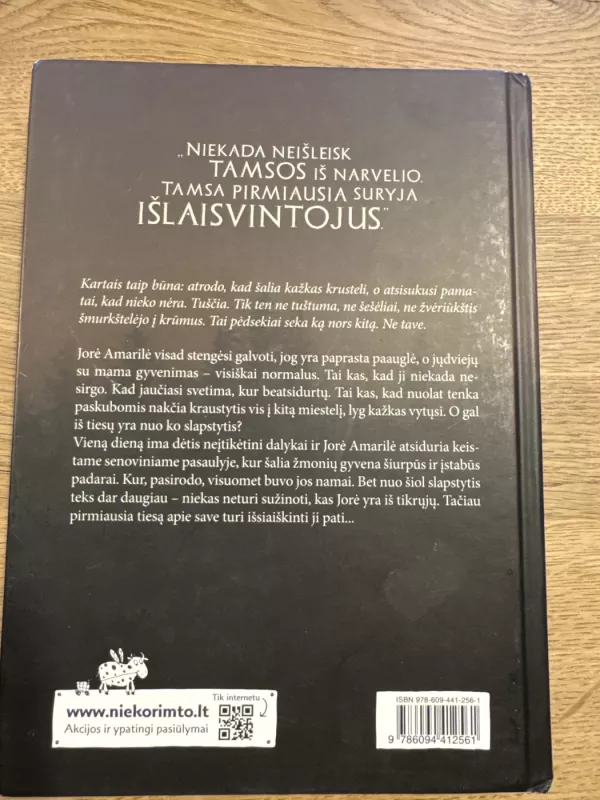 Tamsa, kuri prabudo - Neringa Vaitkutė, knyga 3