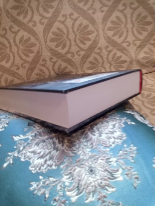 Antrasis pasaulinis karas. Neįtikėtini faktai, likę istorijos vadovėlių paraštėse - Jesus Hernandes, knyga 4