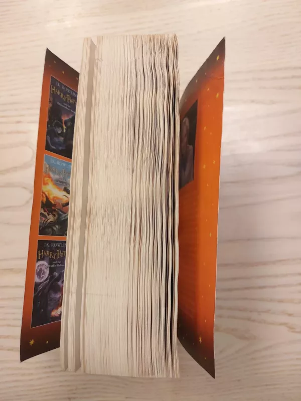 Harry Potter and the Half-Blood Prince - Rowling J. K., knyga 6